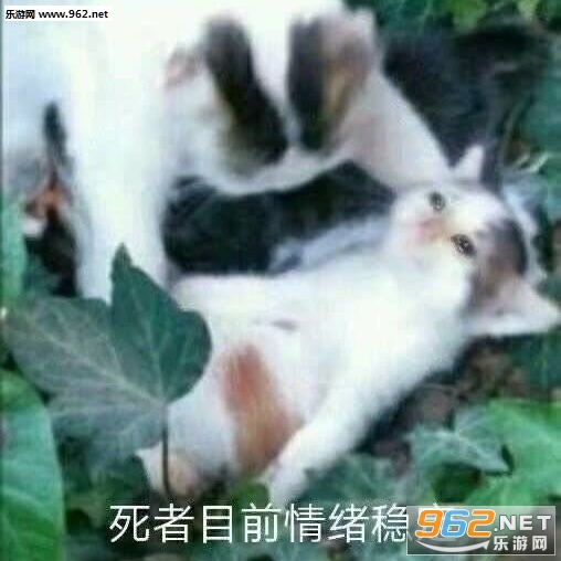 ����Ŀǰ�����ȶ������