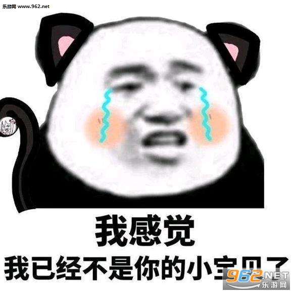阿姨你家儿子多少钱表情包