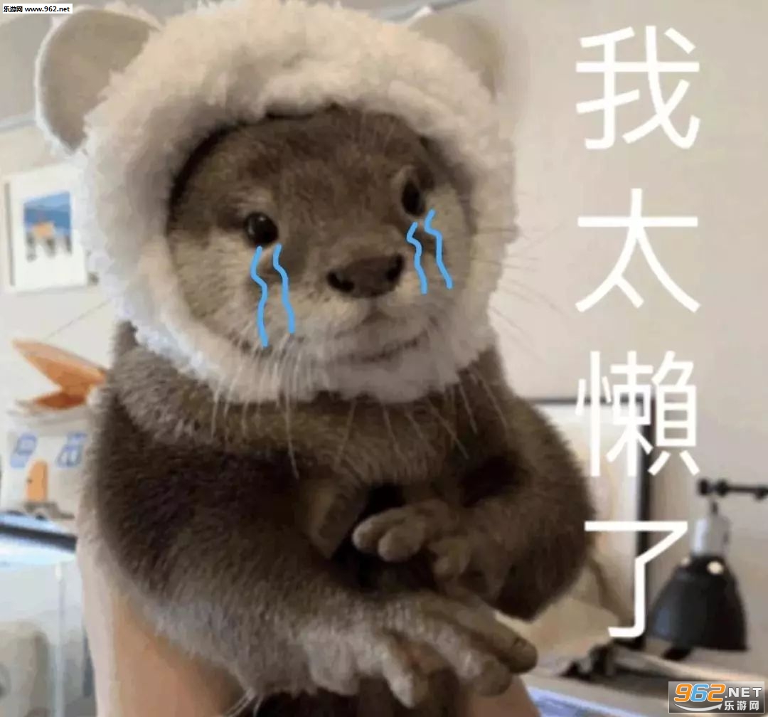 СèС�����ұ����