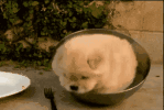 ����˭�����ұ������ͼ