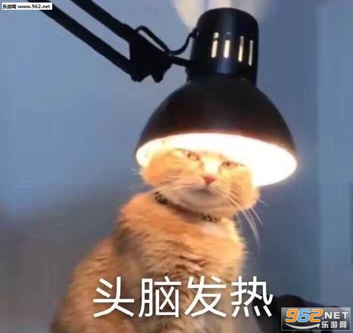 ͷ�Է���è������