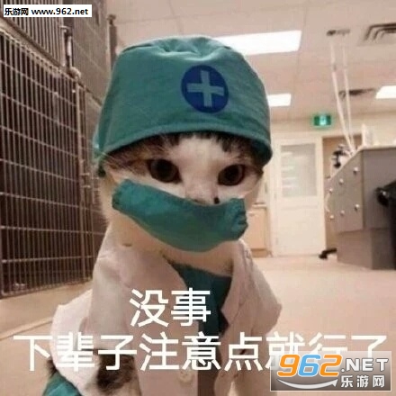 ͷ�Է���è������