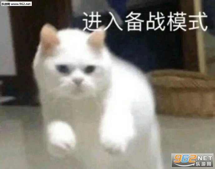 ͷ�Է���è������