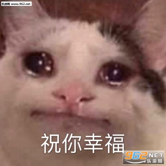我就是你的圣诞礼物表情包