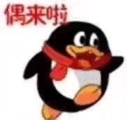 我就是你的圣诞礼物表情包