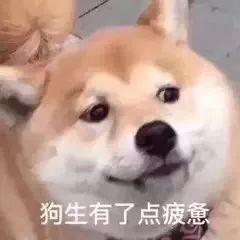��ʼ��ŭͼƬ