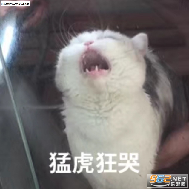 一天也就困个24小时表情包