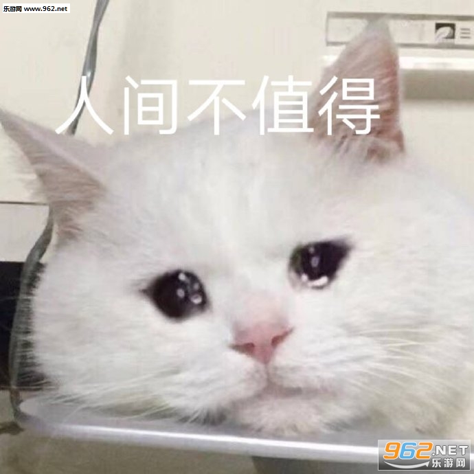 一天也就困个24小时表情包