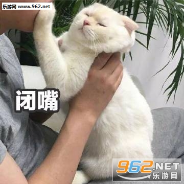 一天也就困个24小时表情包