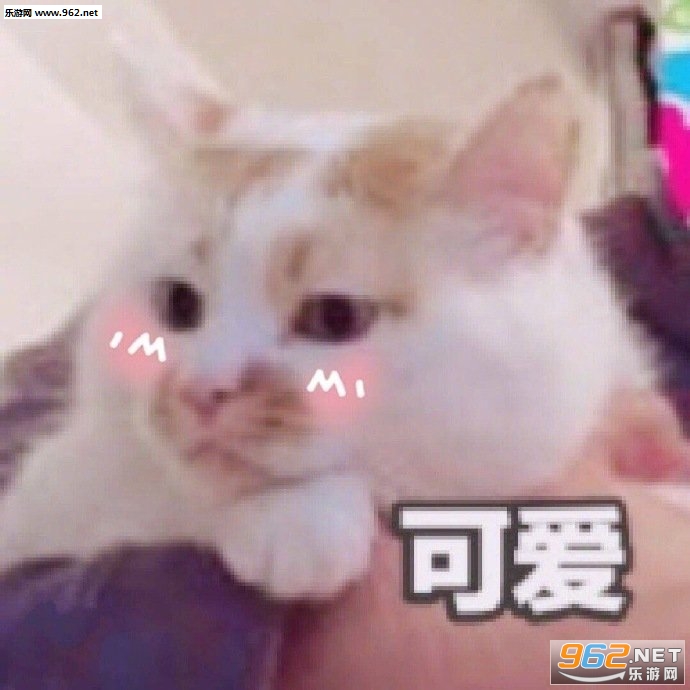 一天也就困个24小时表情包
