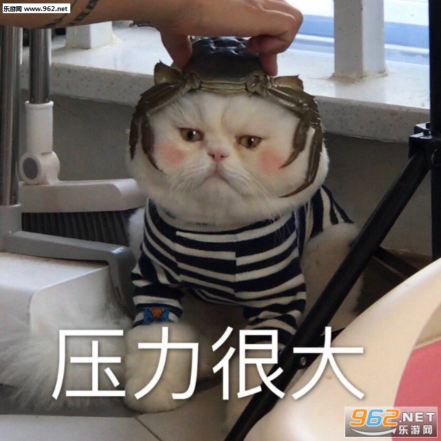 一天也就困个24小时表情包