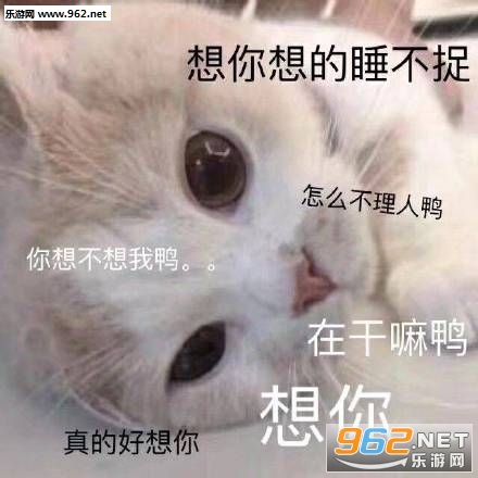 �ڸ����е������˱������ȫ