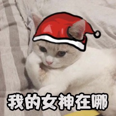 没有礼物你可以滚了表情包