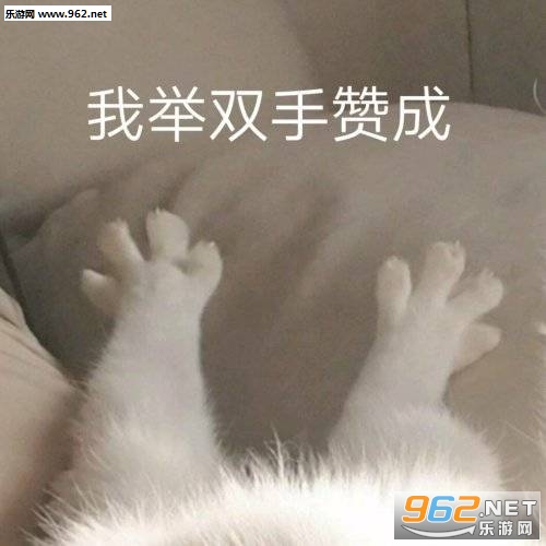 �յ���֤�����������