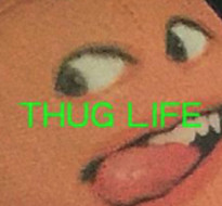 thug life�����