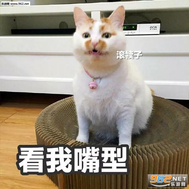 �������͹������