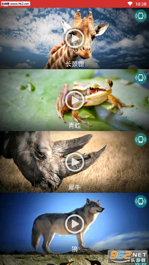 各种动物的叫声大全试听下载 手机动物铃声大全试听 各种动物的叫声大全试听下载 手机动物铃声大全试听