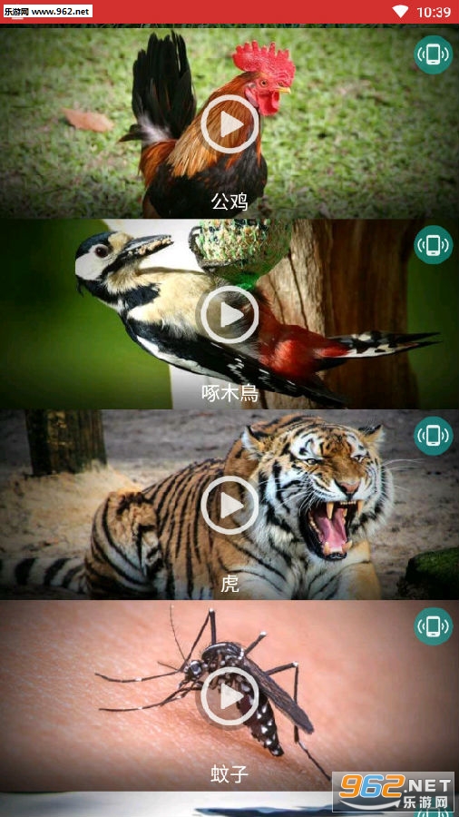 各种动物的叫声大全试听下载 手机动物铃声大全试听 各种动物的叫声大全试听下载 手机动物铃声大全试听