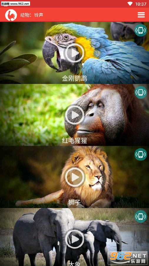 各种动物的叫声大全试听下载 手机动物铃声大全试听 各种动物的叫声大全试听下载 手机动物铃声大全试听