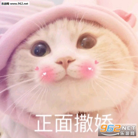 ��������Ҫ�շ��˱����