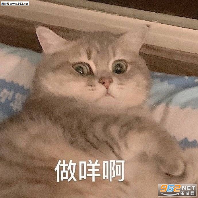 ��������Ҫ�շ��˱����