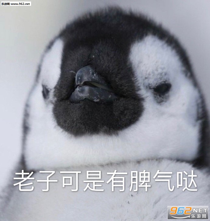 �������侲�±����