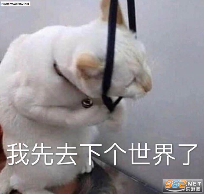 ������ʲôʱ����Ұ���ͼƬ�����