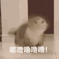 ������ruaŪè������