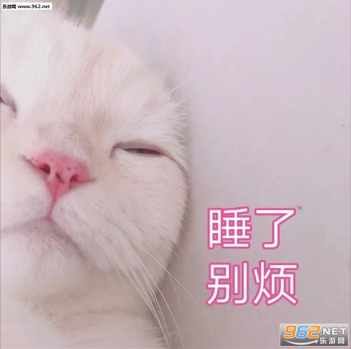 ˯�˱�è������