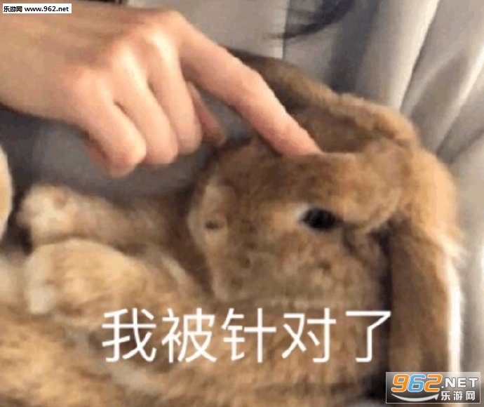 �����ӵ�ͼƬ����
