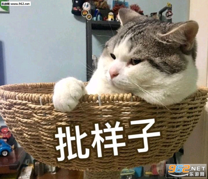 �����ӵ�ͼƬ����
