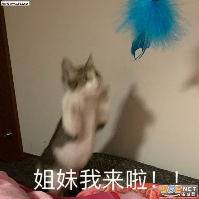 �����ӵ�ͼƬ����