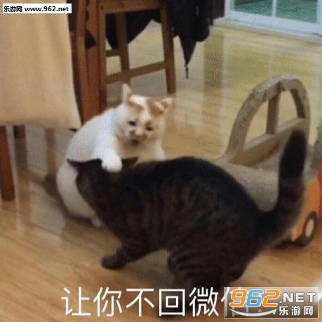 �����ӵ�ͼƬ����