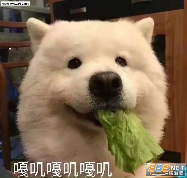 �������˱����
