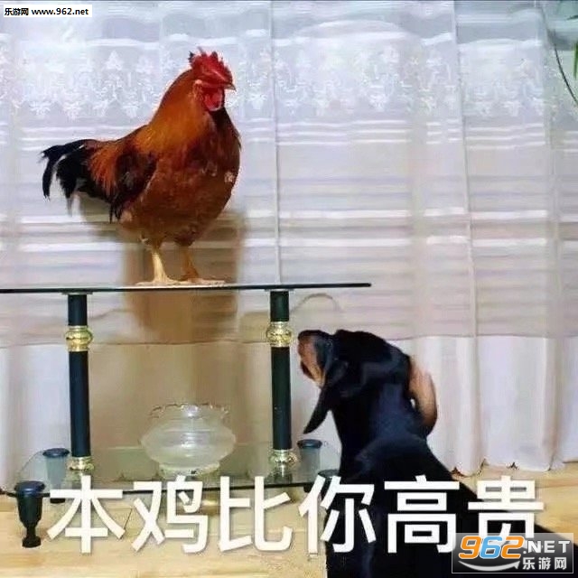 ѧҵ��æ���ȹ���ͼƬ�����