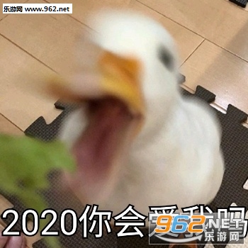 2020��������������