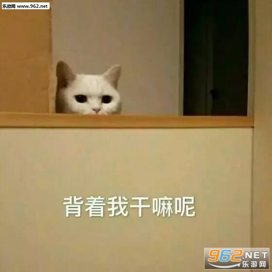 背着我干嘛呢表情包 背着我干嘛呢表情包