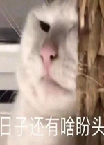 װ�ޱ����