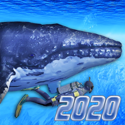 �Ǳˮģ����2020��׿��
