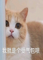 �������˱����