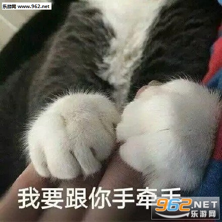 ��������������������ͼ5