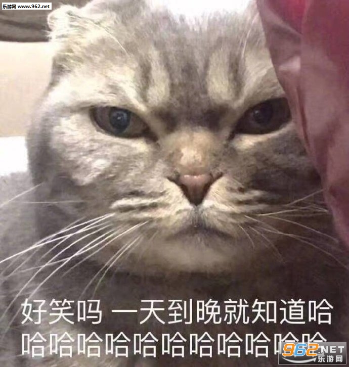 ����֤�ݱ������ͼ2