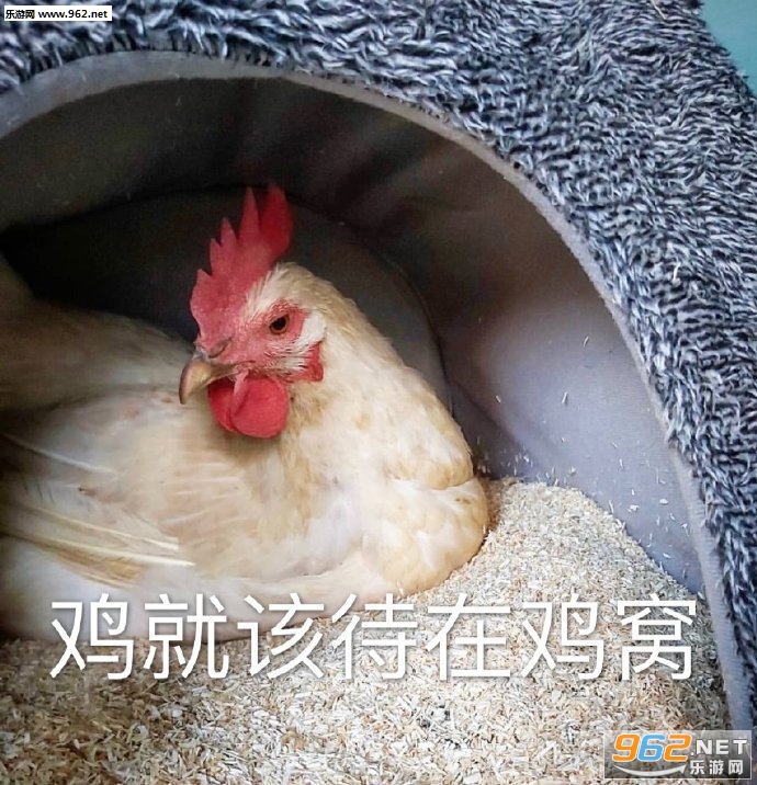 ����֤�ݱ������ͼ3