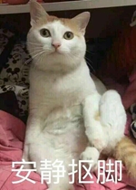 �����ٽű����