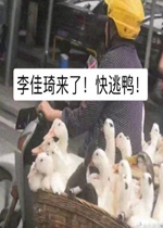 �����duck���ر����