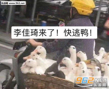�����duck���ر������ͼ1