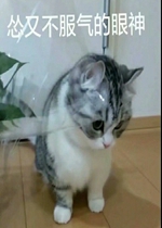 ���ֲ���������������