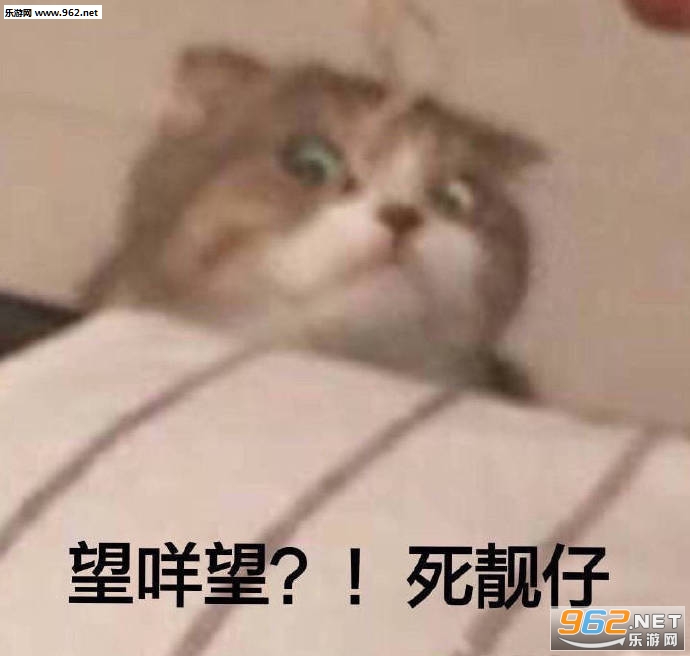 ͷ�Է���è��������ͼ2