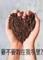 �ճ���ͼ�ɰ������