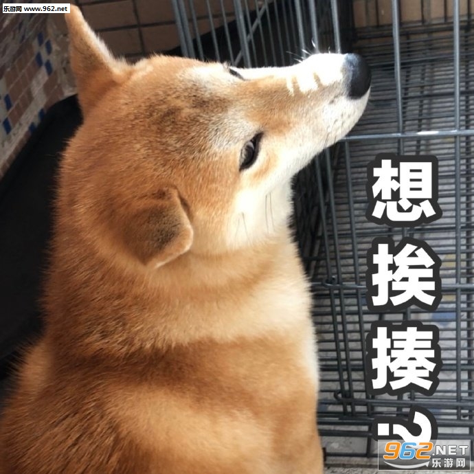 ħ�Բ�Ȯ�������ͼ0